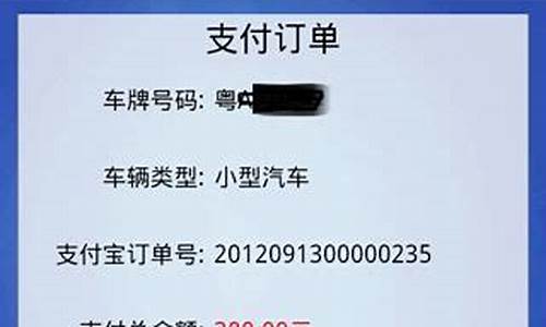 广东交通违章查询掌付通_广东交通违法查询掌付通